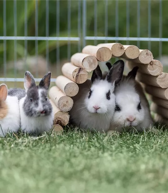 Tierbedarf_Zoo_Tierfutter_kaufen_Pflanzen_Mauk_10.jpg