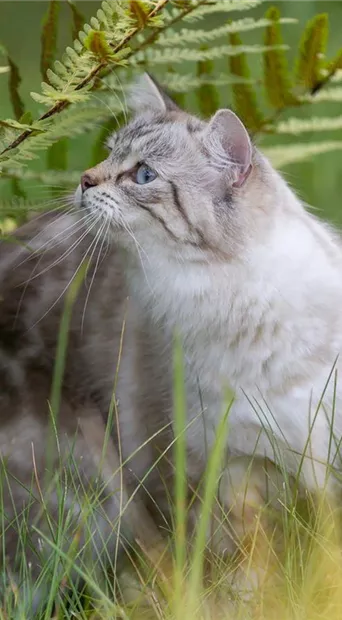 Tierbedarf_Zoo_Tierfutter_kaufen_Pflanzen_Mauk_16.jpg