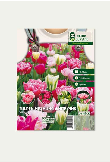 Tulpen Mischung "White Pink"