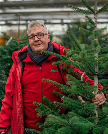 Weihnachtsbaum Event