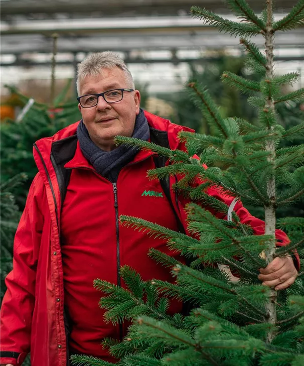 weihnachtsbaumverkauf-pflanzen-mauk-lauffen-special-2.jpg